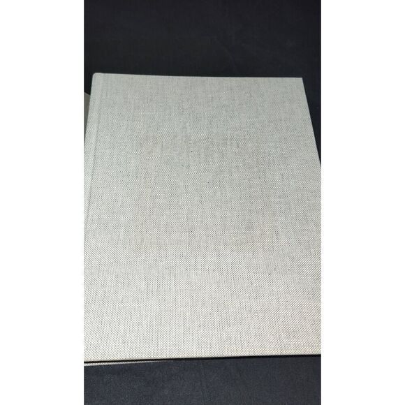 Robert Ryman - Used Paint By Suzanne Hudson 1st Print 2009 HB/DJ READ DESCRIPTIO - Picture 8 of 16